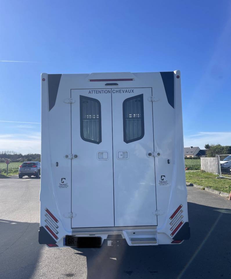 Van per Cavalli Renault master proteo switch stalles 2023 Occasione