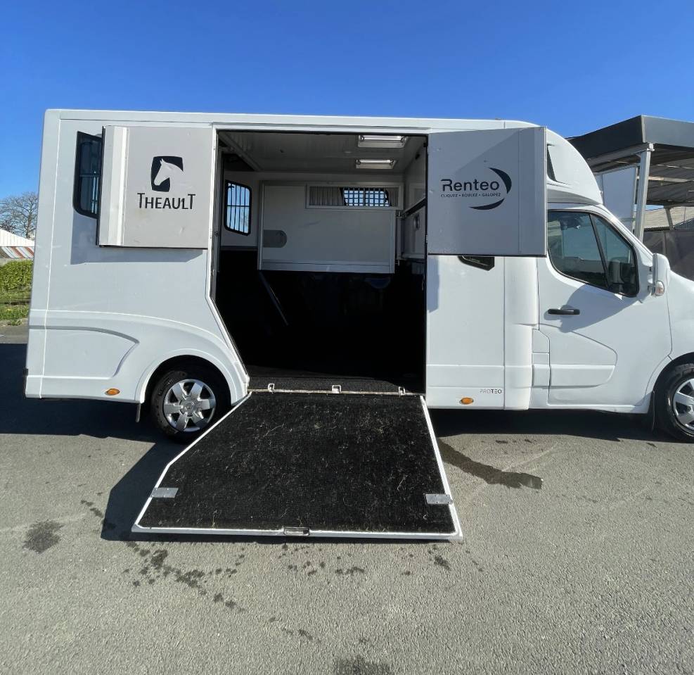 Van per Cavalli Renault master proteo switch stalles 2023 Occasione