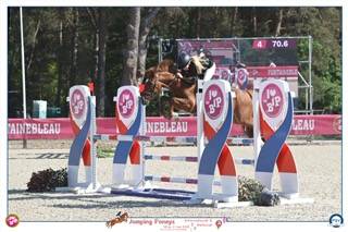 Castrone PFS Pony Francese da Sella In vendita 2019 Sauro ,  Mon Nantano de florys