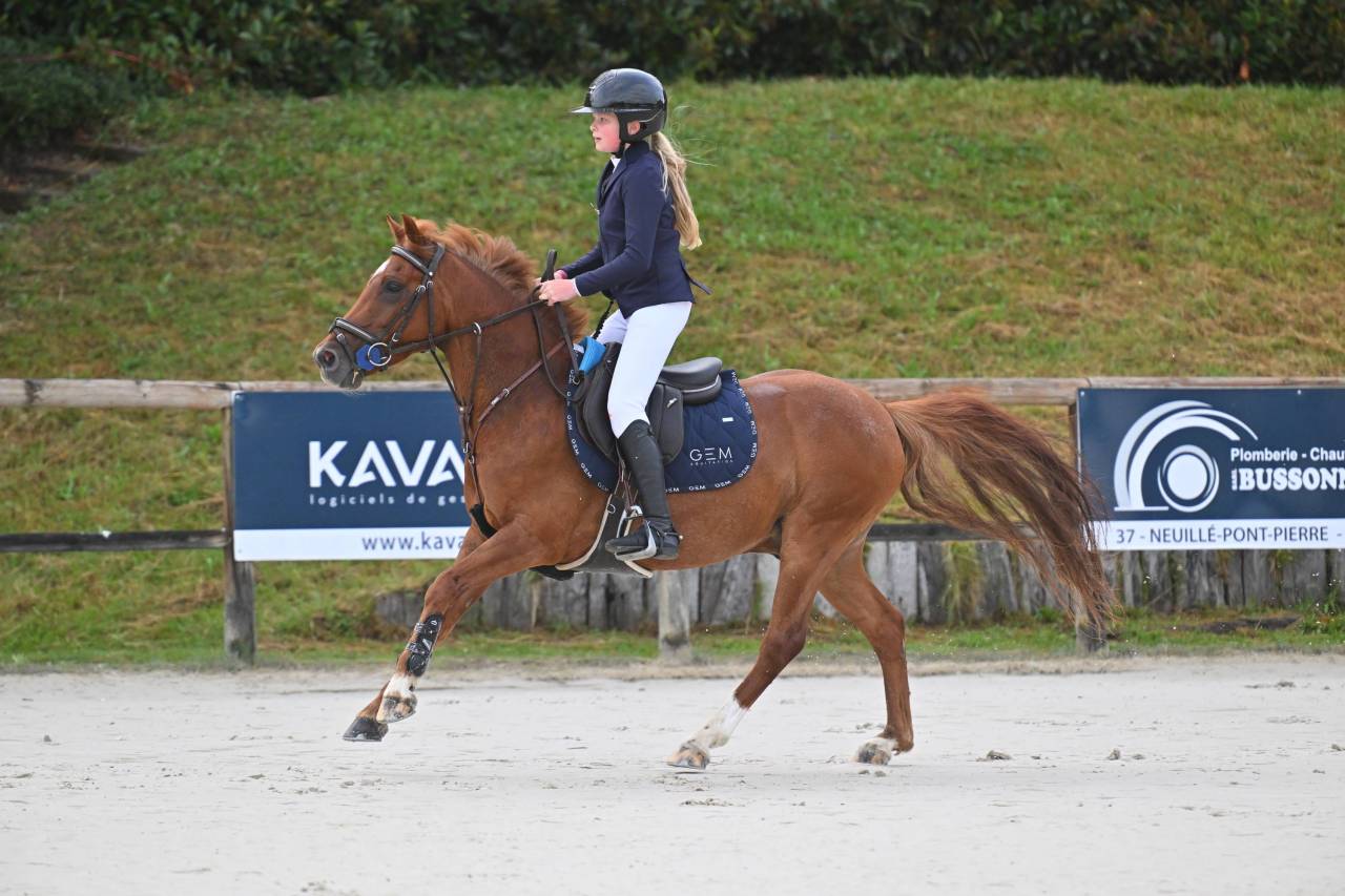 Castrone PFS Pony Francese da Sella In vendita 2019 Sauro ,  Mon Nantano de florys