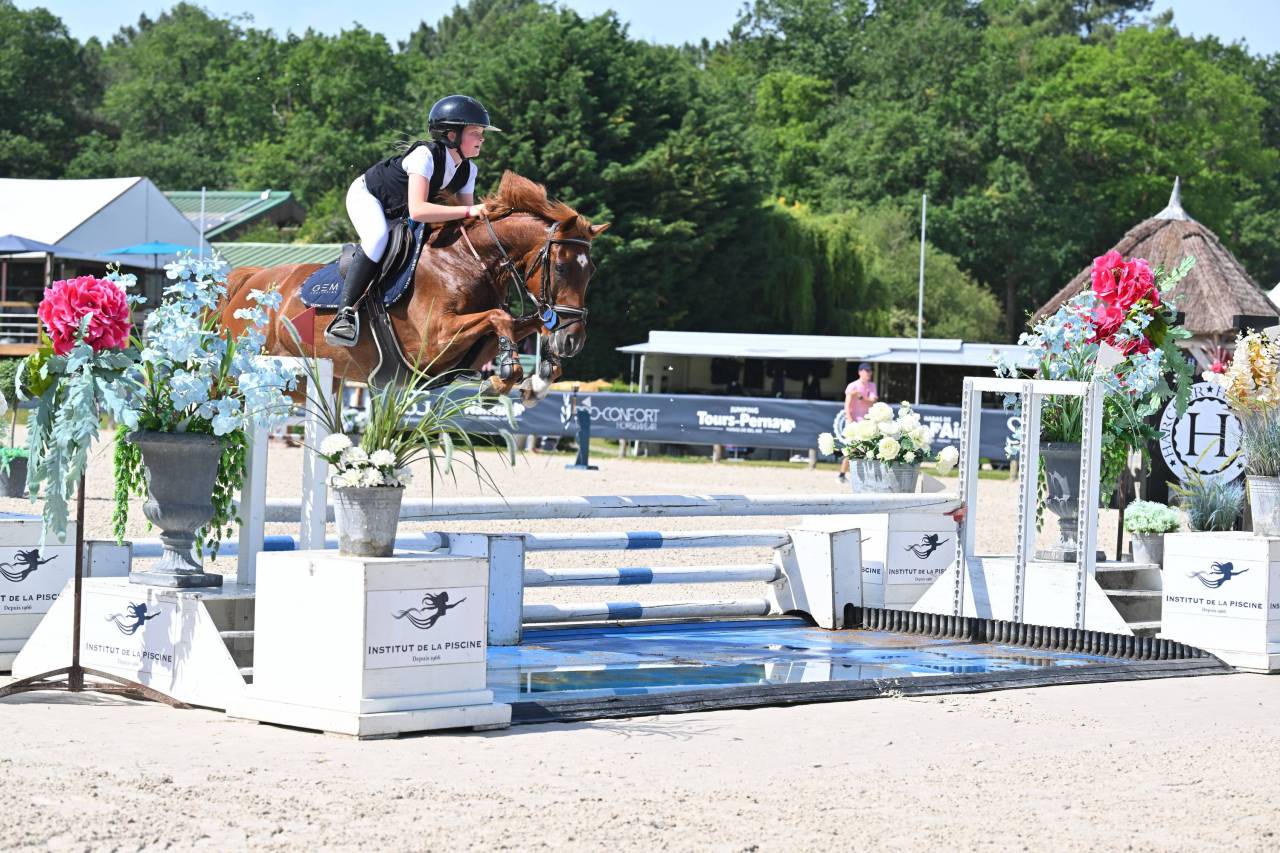 Castrone PFS Pony Francese da Sella In vendita 2019 Sauro ,  Mon Nantano de florys