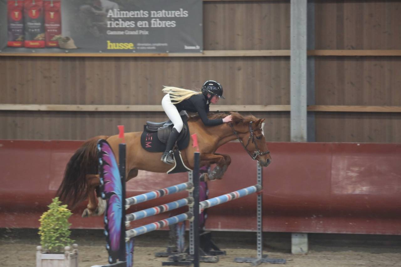 Castrone PFS Pony Francese da Sella In vendita 2019 Sauro ,  Mon Nantano de florys