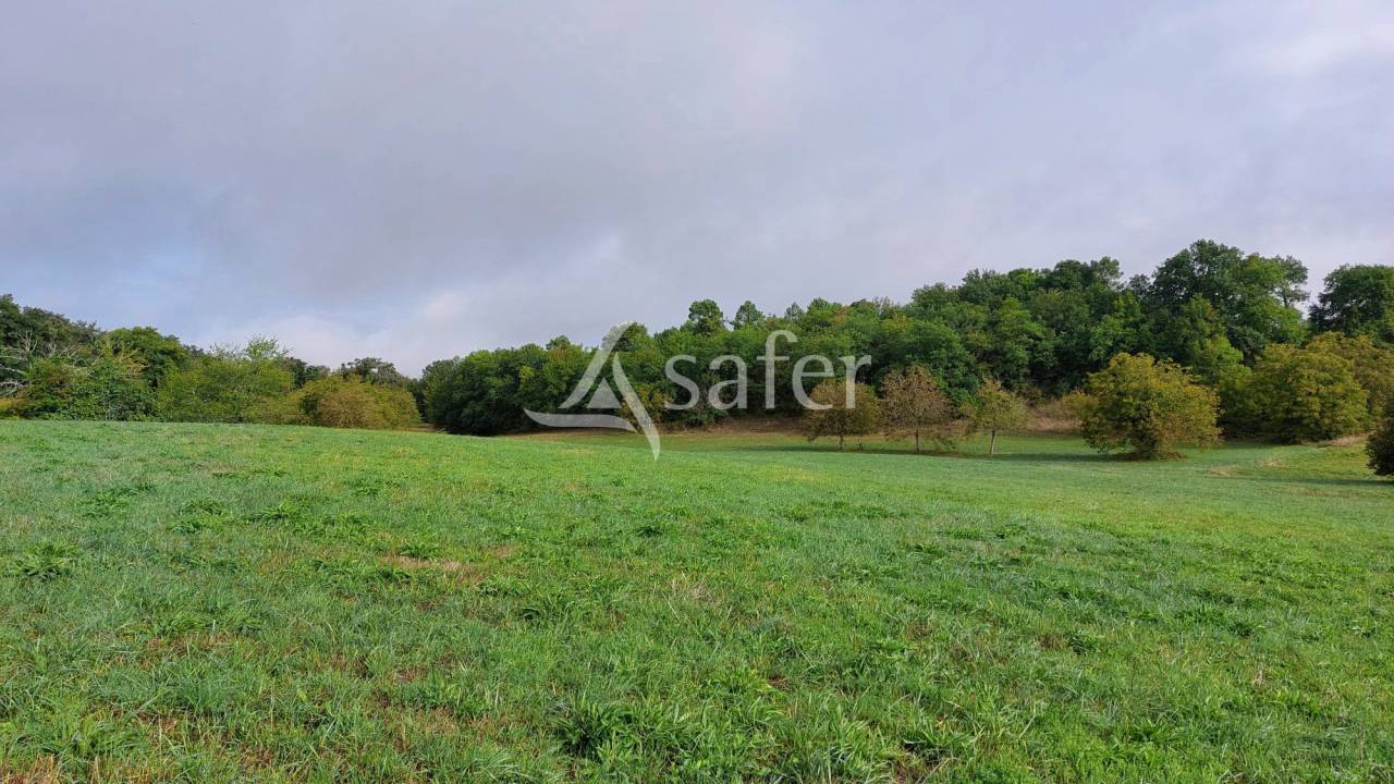 Propriet&agrave; equestre In vendita Dordogne