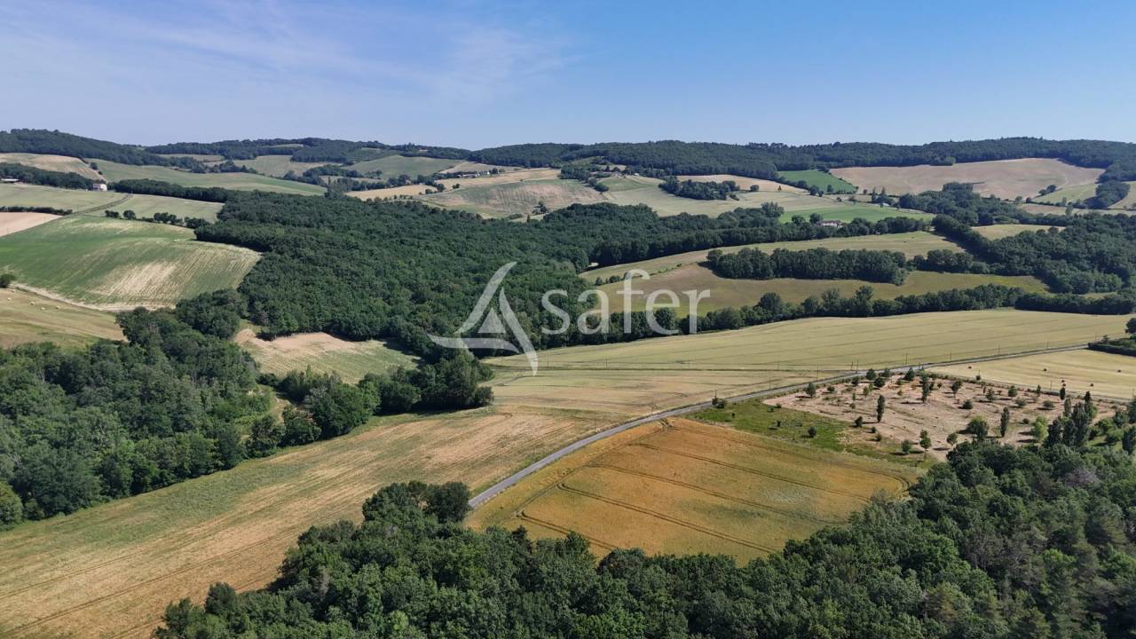 Azienda agricola In vendita tarn