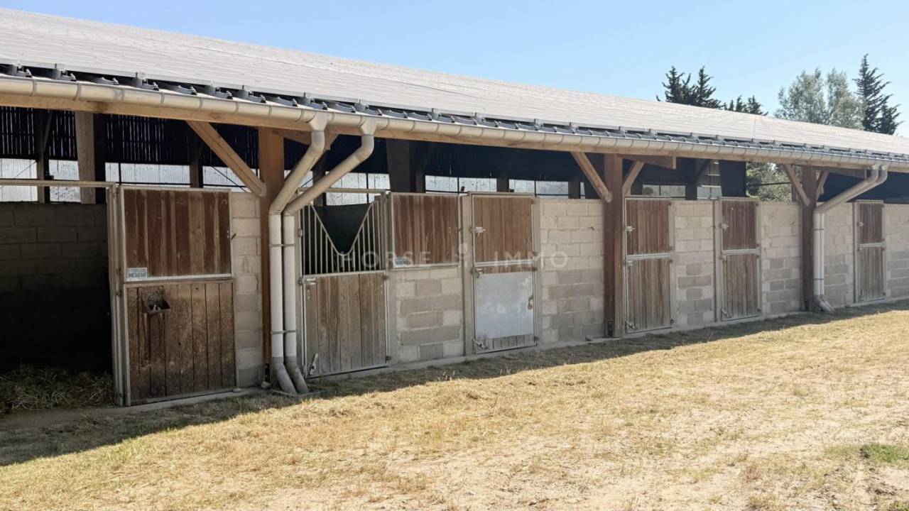 Propriet&agrave; equestre In vendita Vaucluse