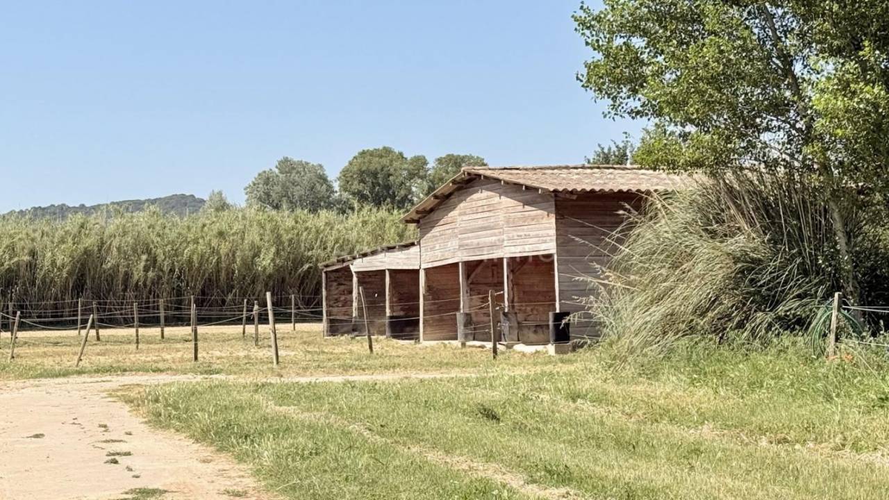 Propriet&agrave; equestre In vendita Vaucluse