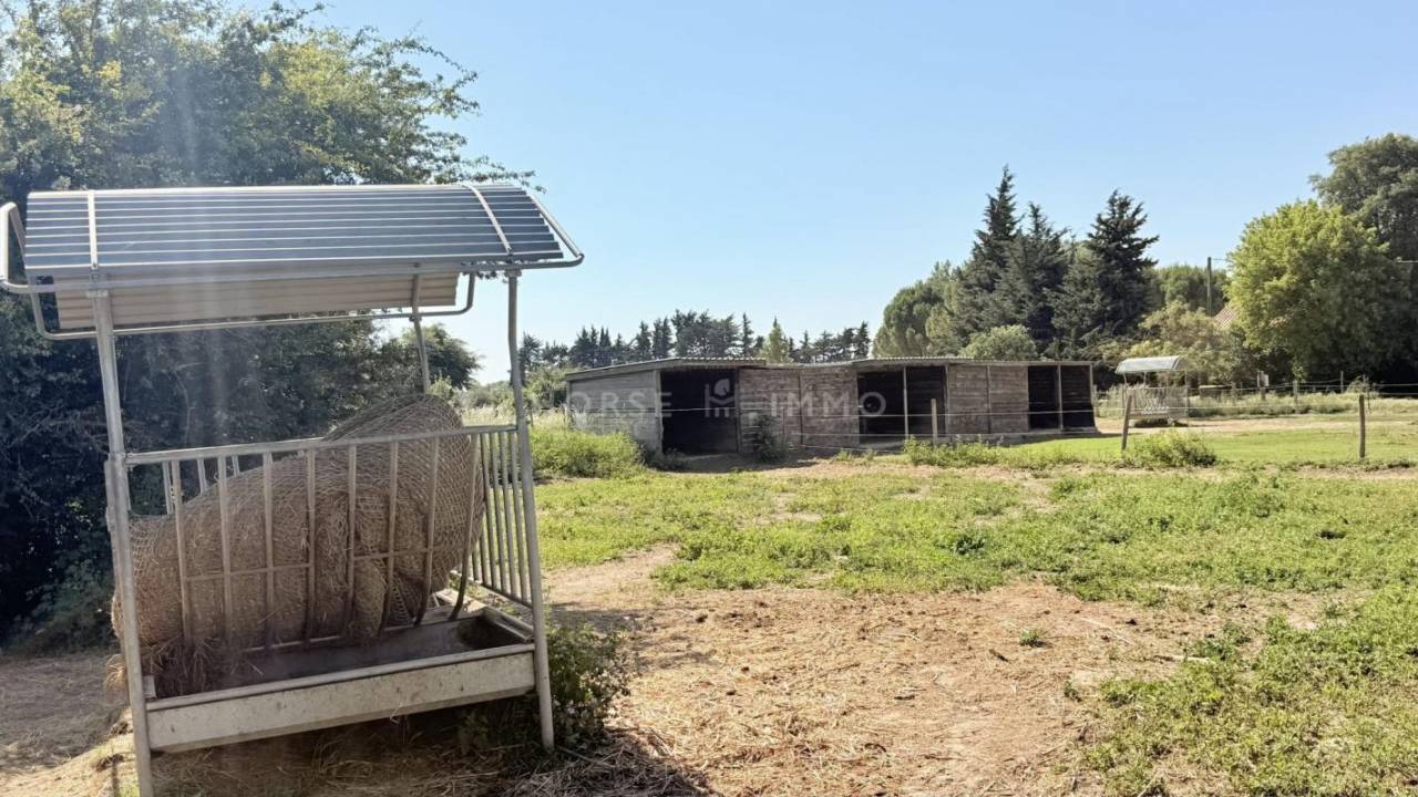 Propriet&agrave; equestre In vendita Vaucluse