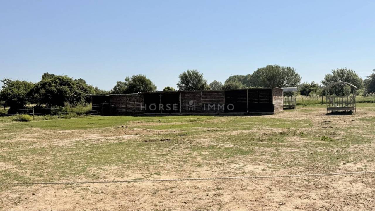 Propriet&agrave; equestre In vendita Vaucluse