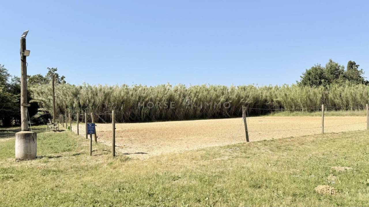 Propriet&agrave; equestre In vendita Vaucluse