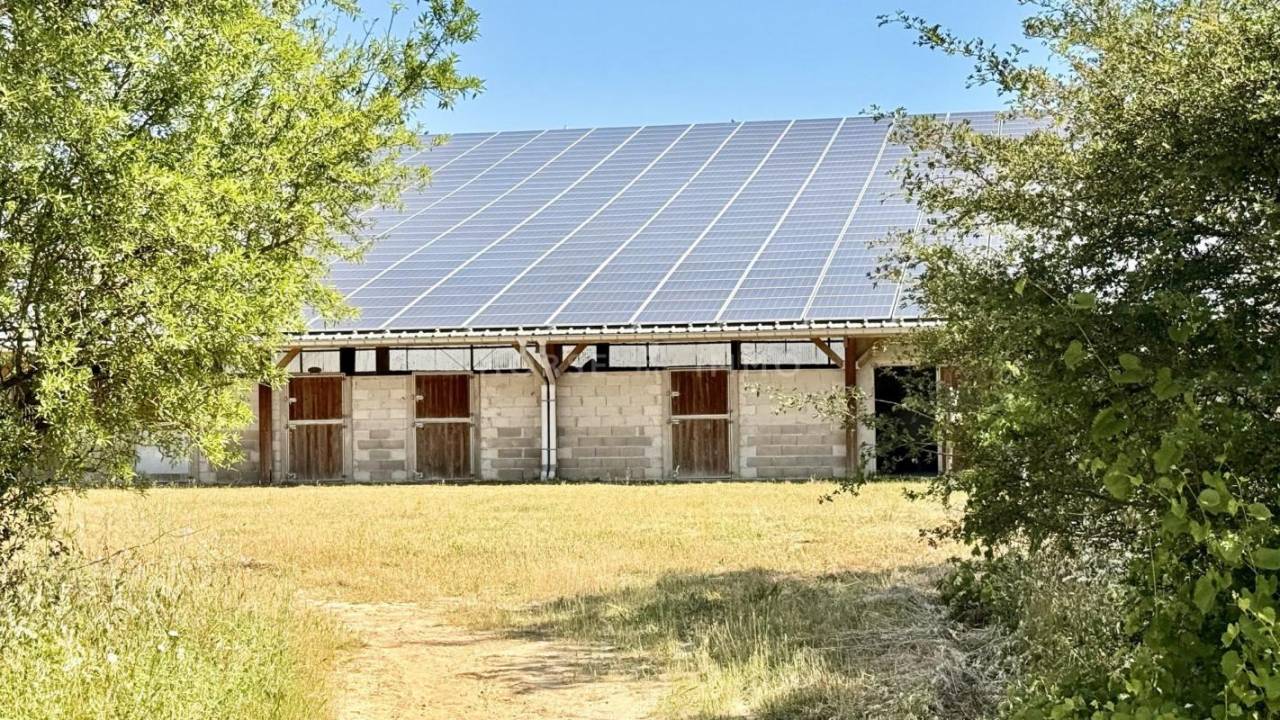 Propriet&agrave; equestre In vendita Vaucluse