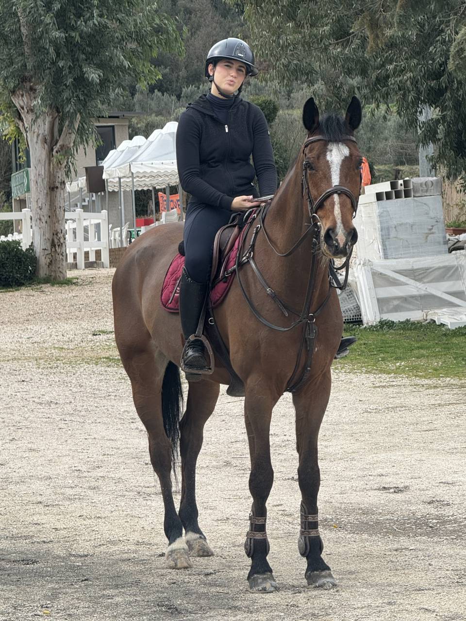 Cavallo salto ostacoli