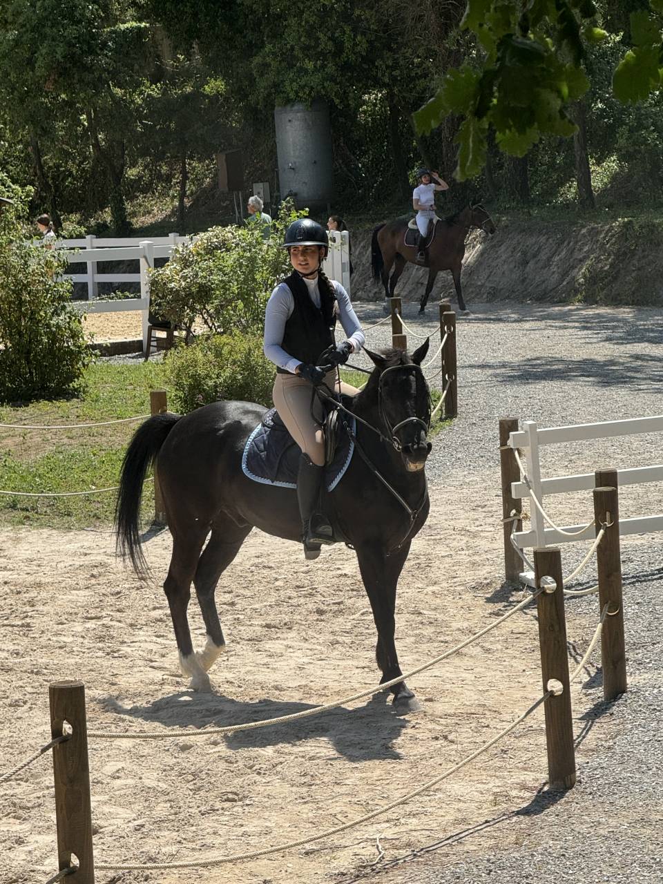 Pony da competizione 