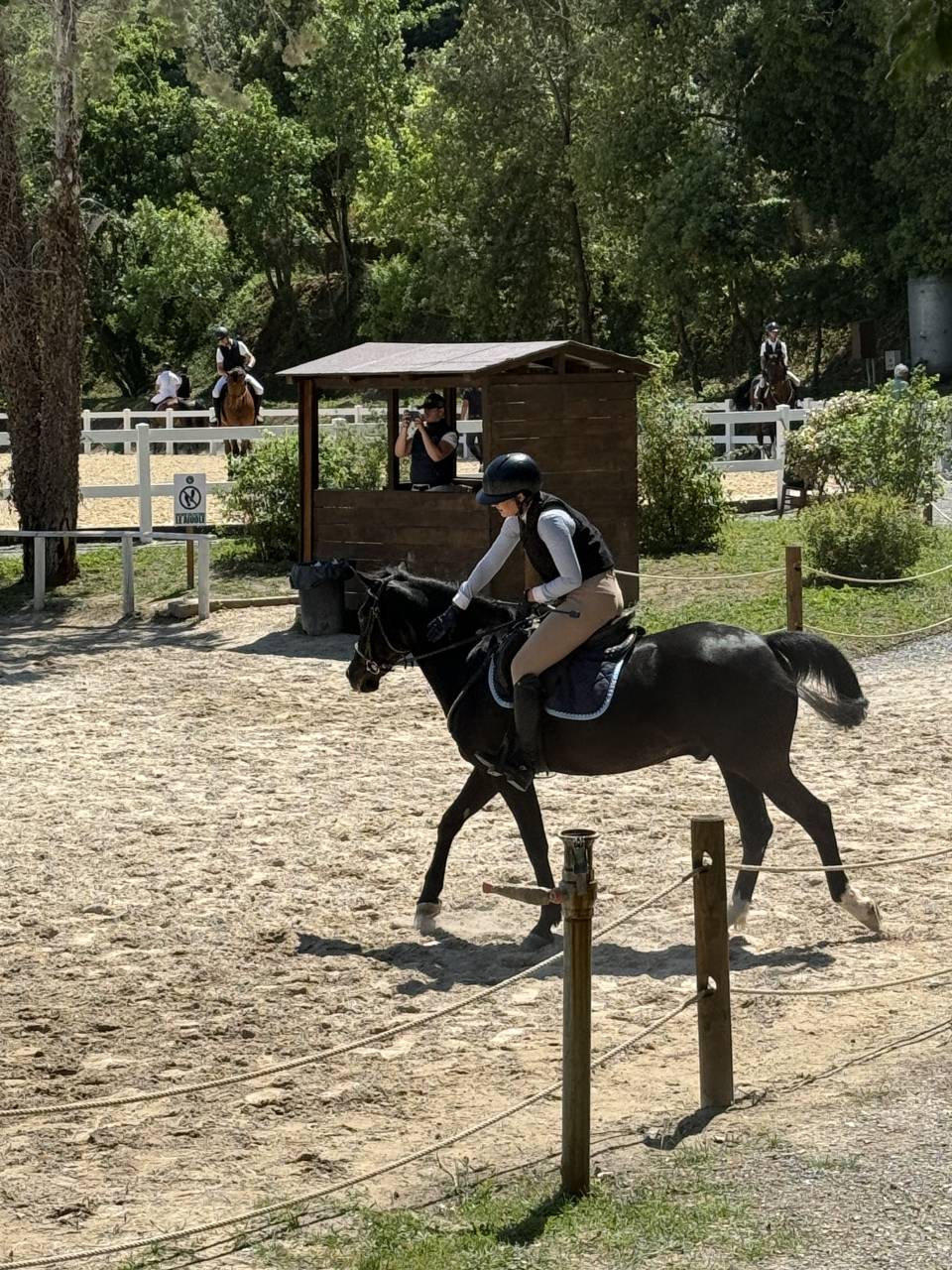 Pony da competizione 