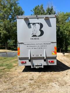 Camion per Cavalli Daf living 2008 Occasione