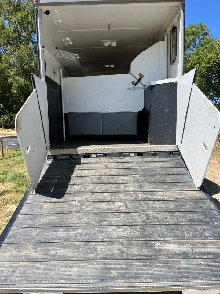 Camion per Cavalli Daf living 2008 Occasione