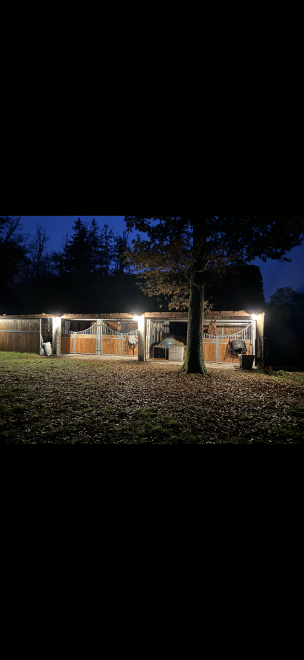 Bella dimora equestre In vendita Loiret