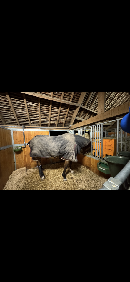 Bella dimora equestre In vendita Loiret