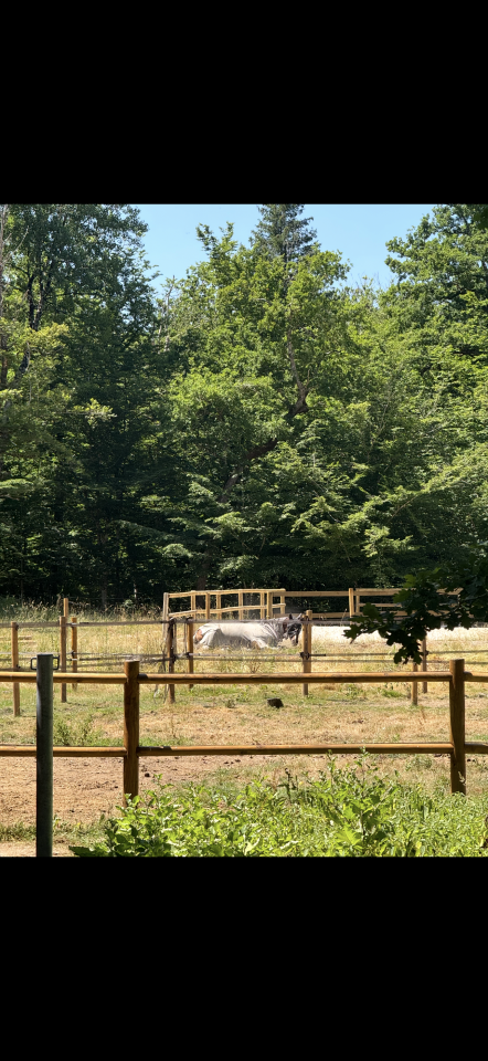 Bella dimora equestre In vendita Loiret