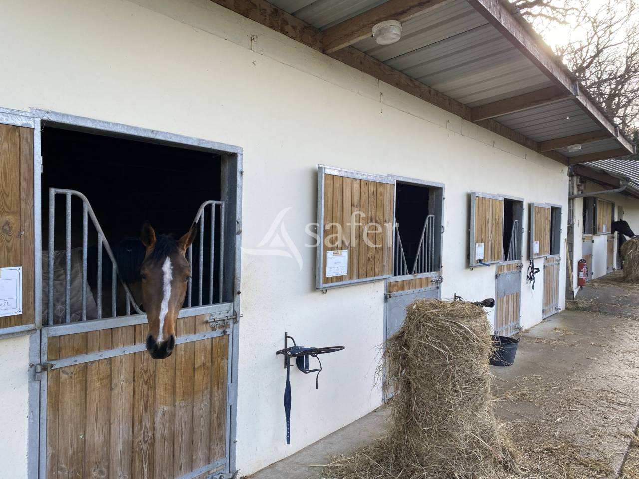 Propriet&agrave; equestre In vendita Calvados