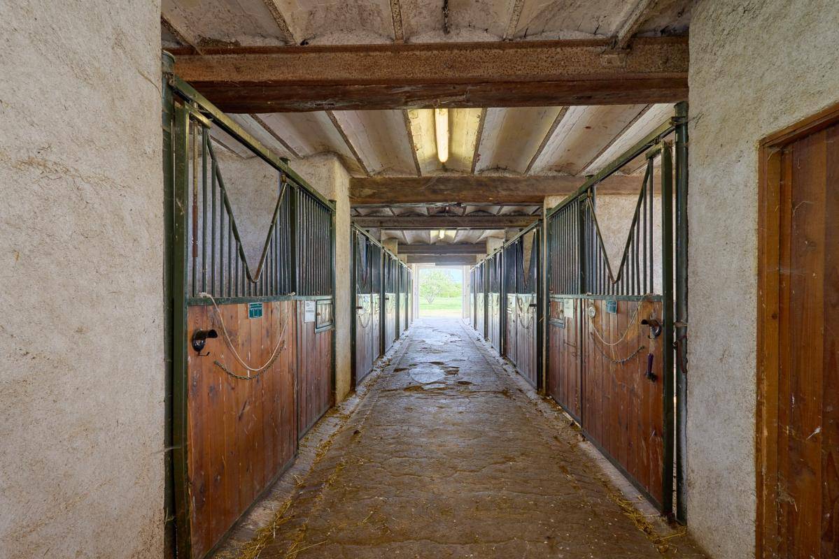 Propriet&agrave; equestre In vendita Loiret