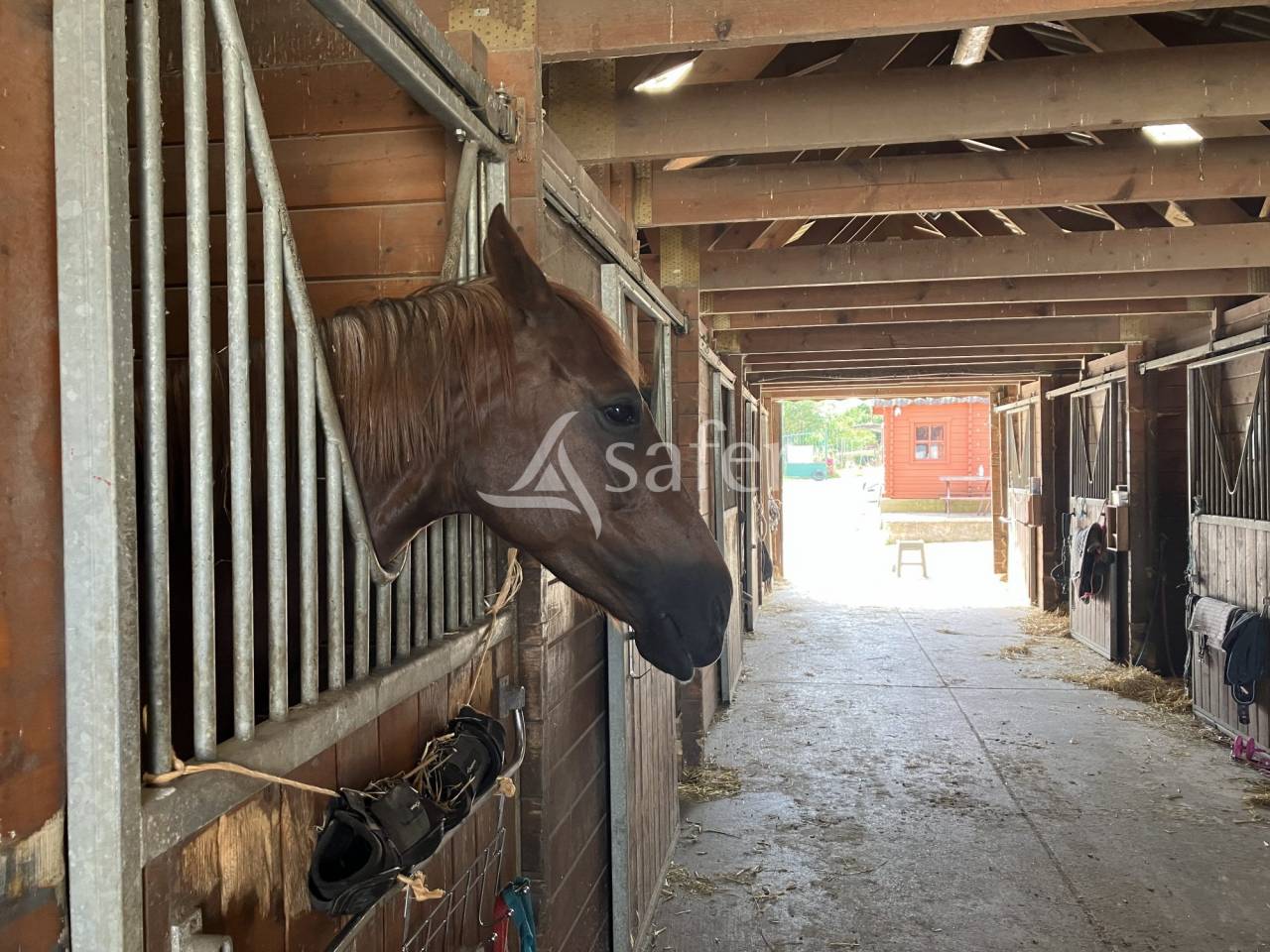 Propriet&agrave; equestre In vendita Essonne