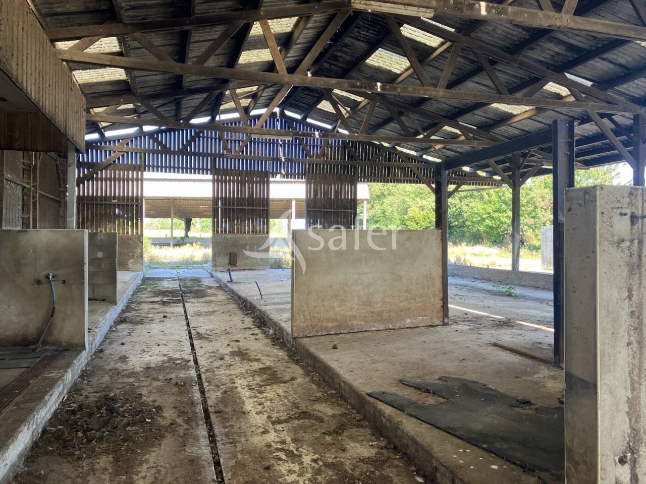 Azienda avicola In vendita Mayenne