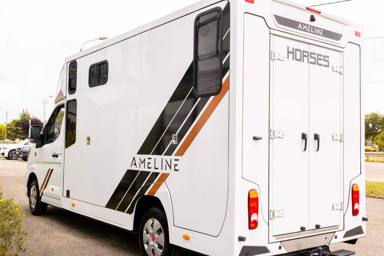 Van per Cavalli Renault  2026 Nuovo