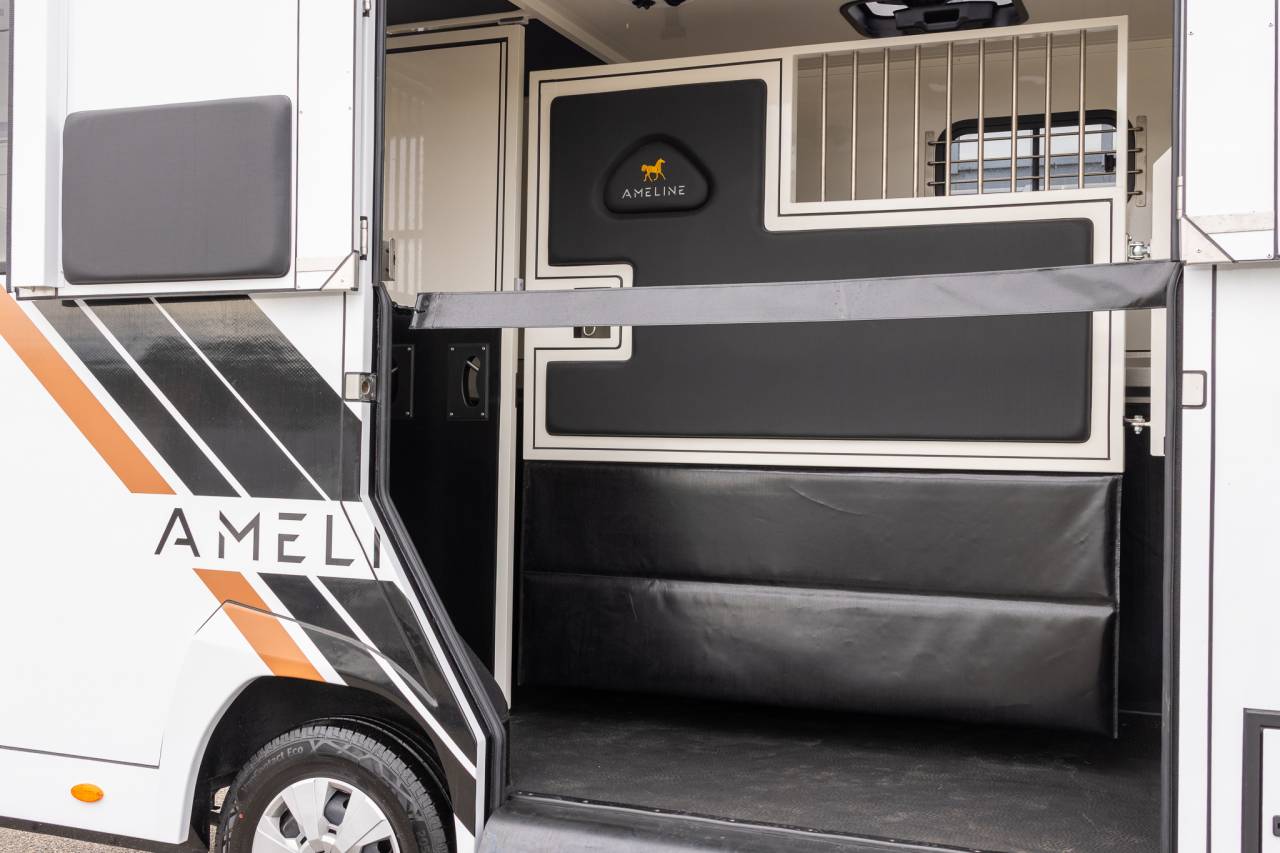 Van per Cavalli Renault  2026 Nuovo