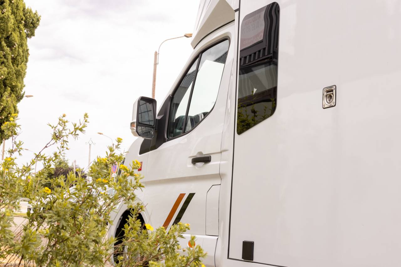 Van per Cavalli Renault  2026 Nuovo
