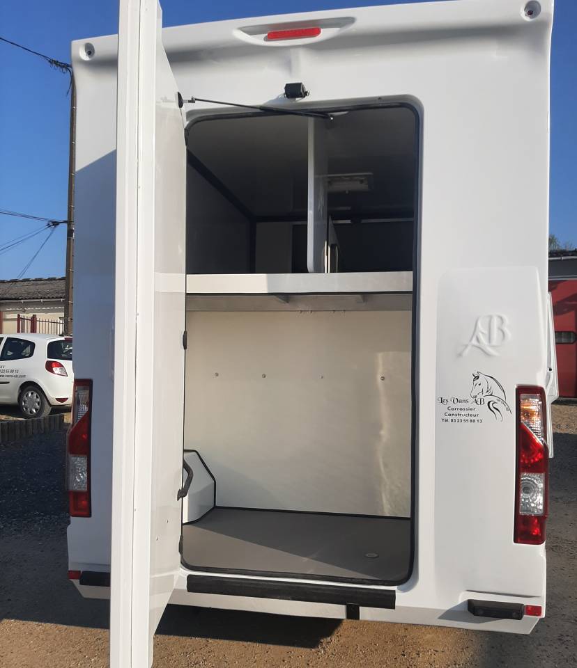 Van per Cavalli Renault Master 2015 Occasione