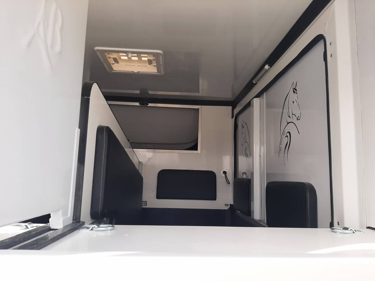 Van per Cavalli Renault Master 2015 Occasione