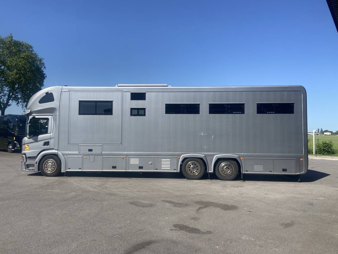 Camion per Cavalli STX  2021 Occasione
