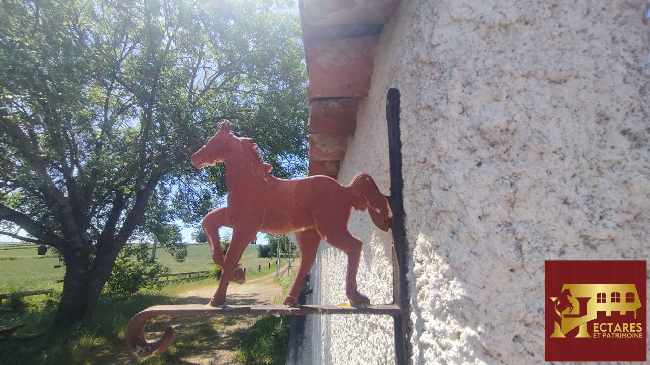 Propriet&agrave; equestre In vendita Sa&ocirc;ne-et-Loire