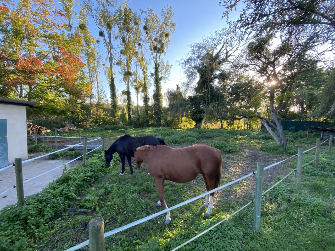 Bella dimora equestre In vendita Val-d'Oise