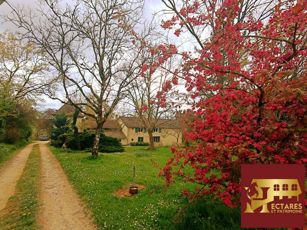 Alloggio equestre In vendita Dordogne