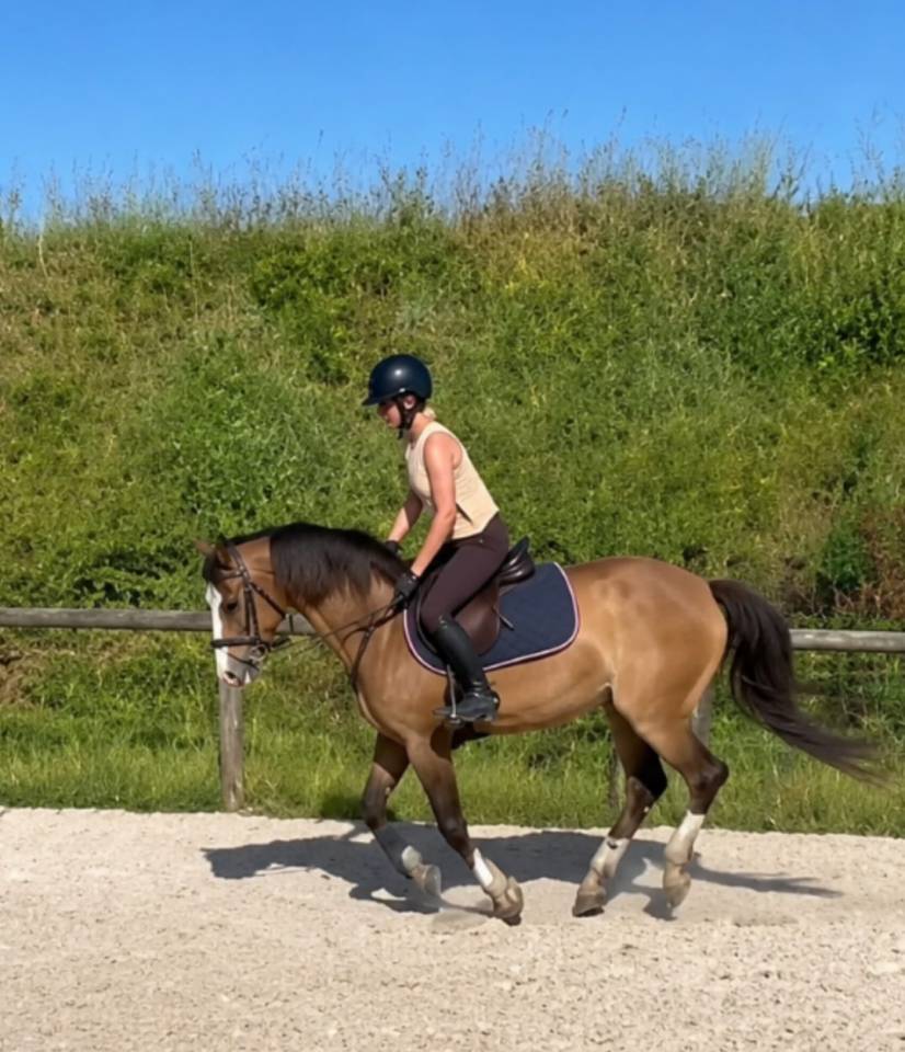 Cavalla PFS Pony Francese da Sella In vendita 2022 Roano ,  Greatstar dembets tilia