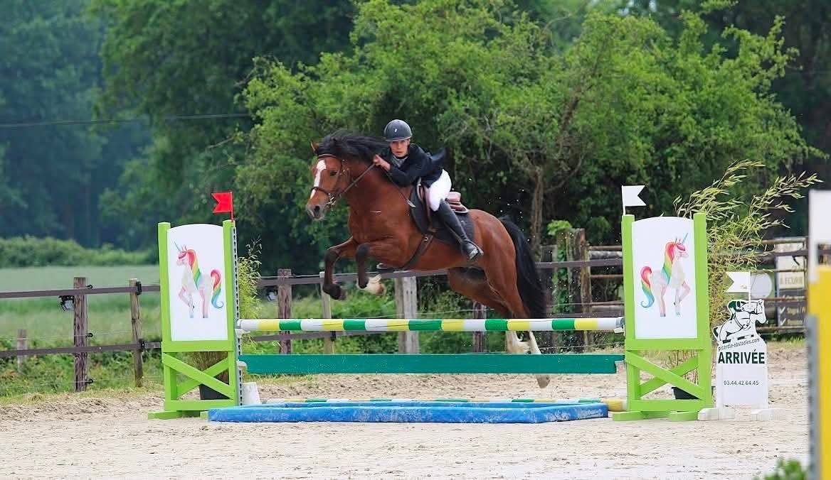 Intero New Forest In vendita 2022 Baio