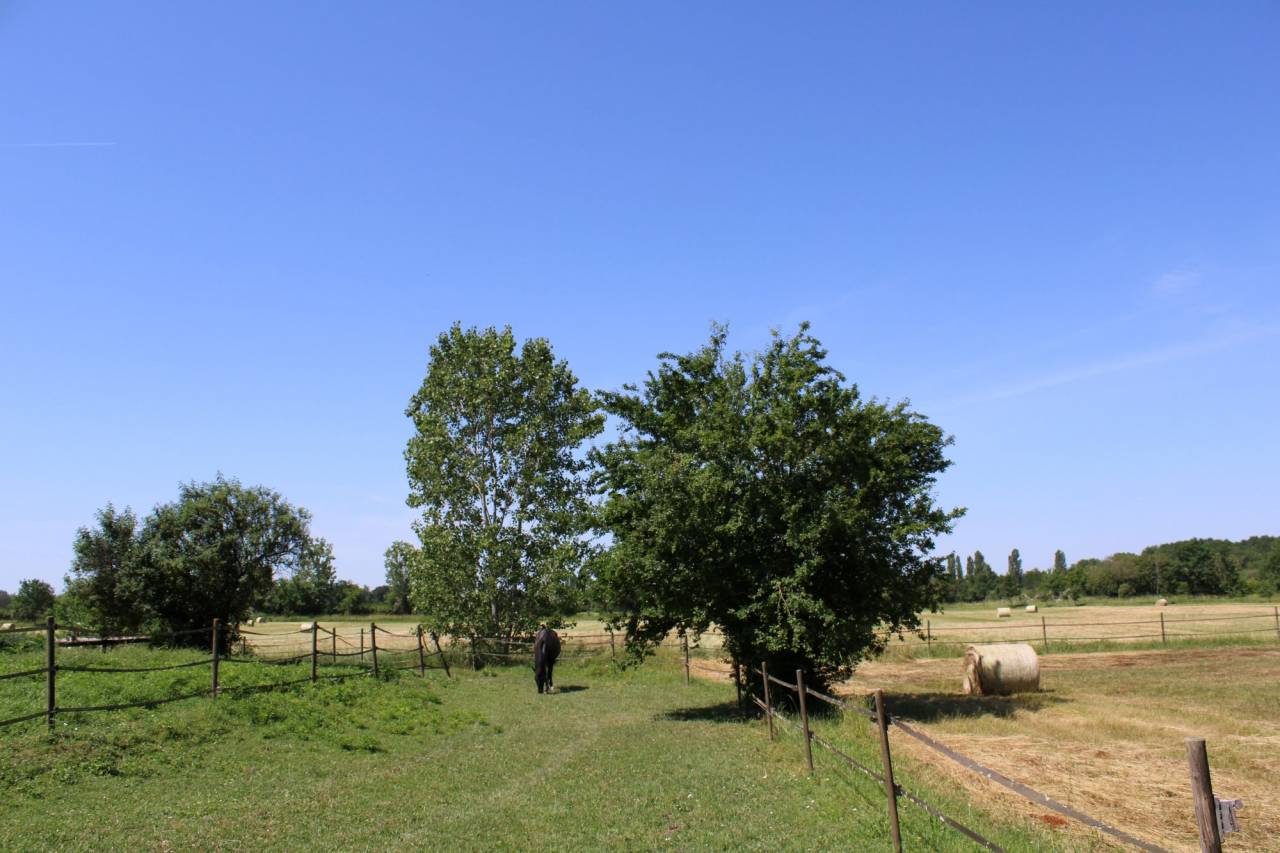 Propriet&agrave; equestre In vendita Tarn-et-Garonne