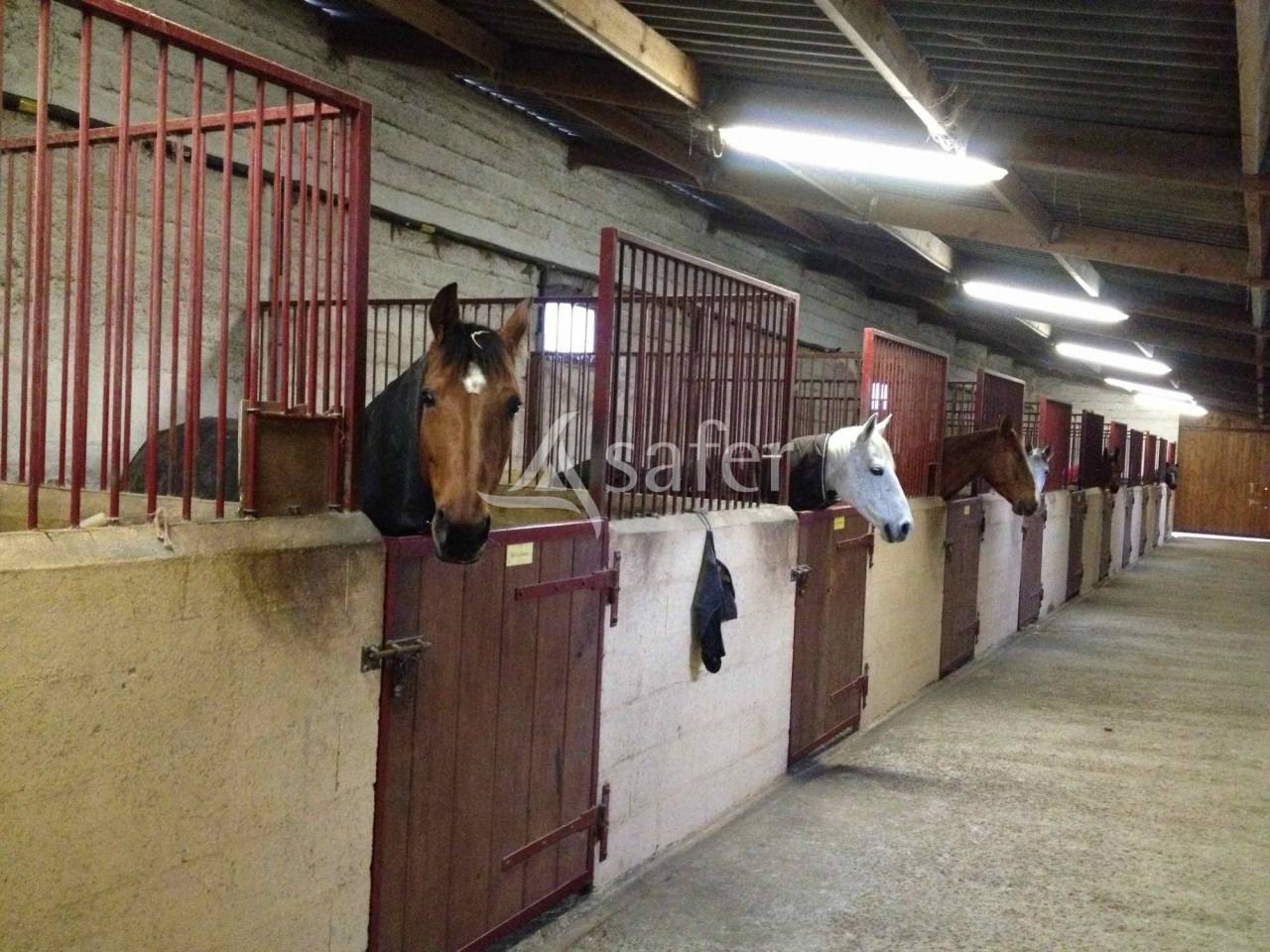 Propriet&agrave; equestre In vendita Essonne