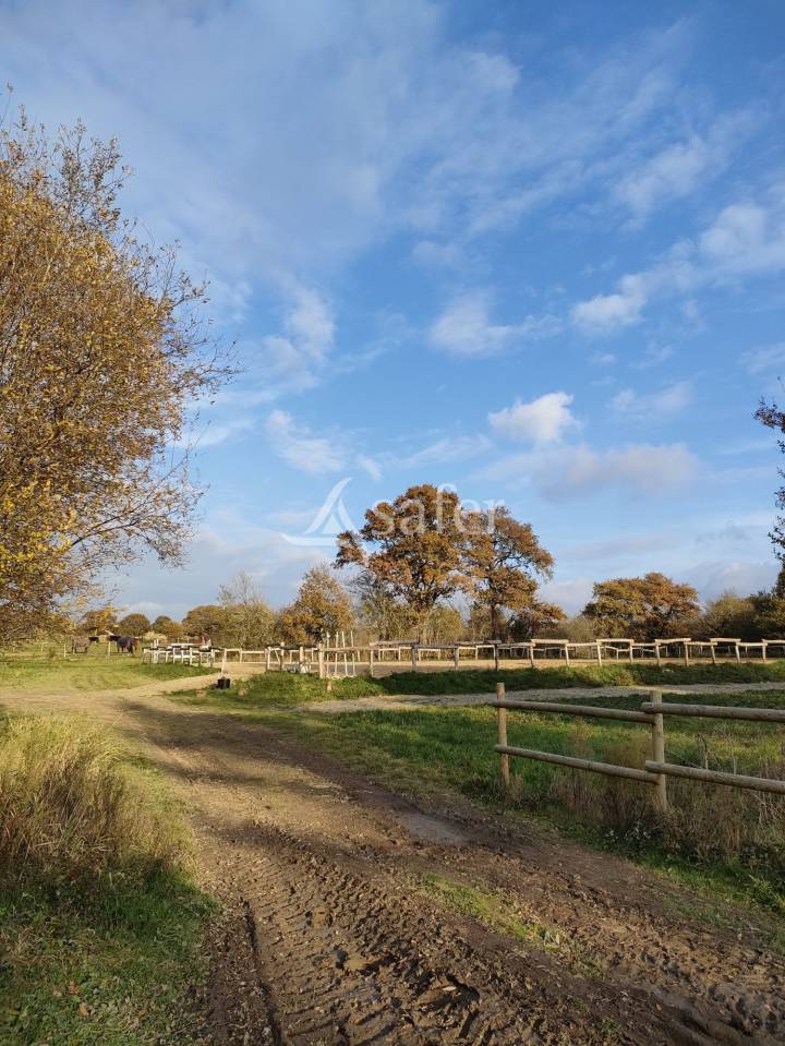 Propriet&agrave; equestre In vendita Loire-Atlantique