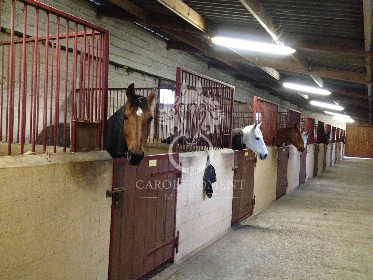 Bella dimora equestre In vendita Essonne