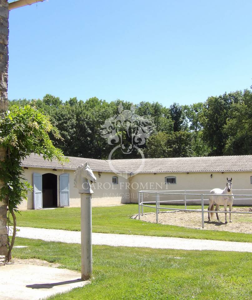 Bella dimora equestre In vendita Essonne