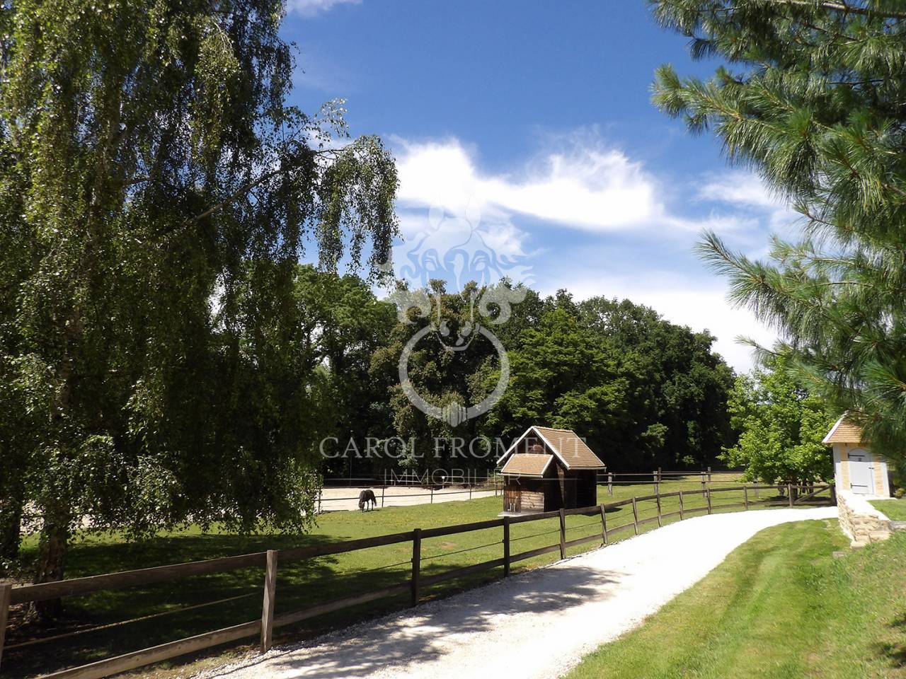 Bella dimora equestre In vendita Essonne