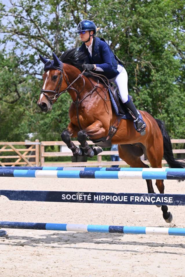 Castrone sBs Cavallo da Sport Belgio In vendita 2020 Baio