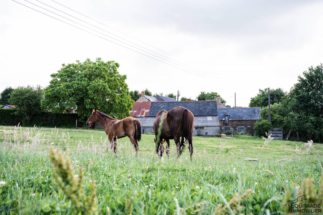 Bella dimora equestre In vendita Ile-et-Vilaine