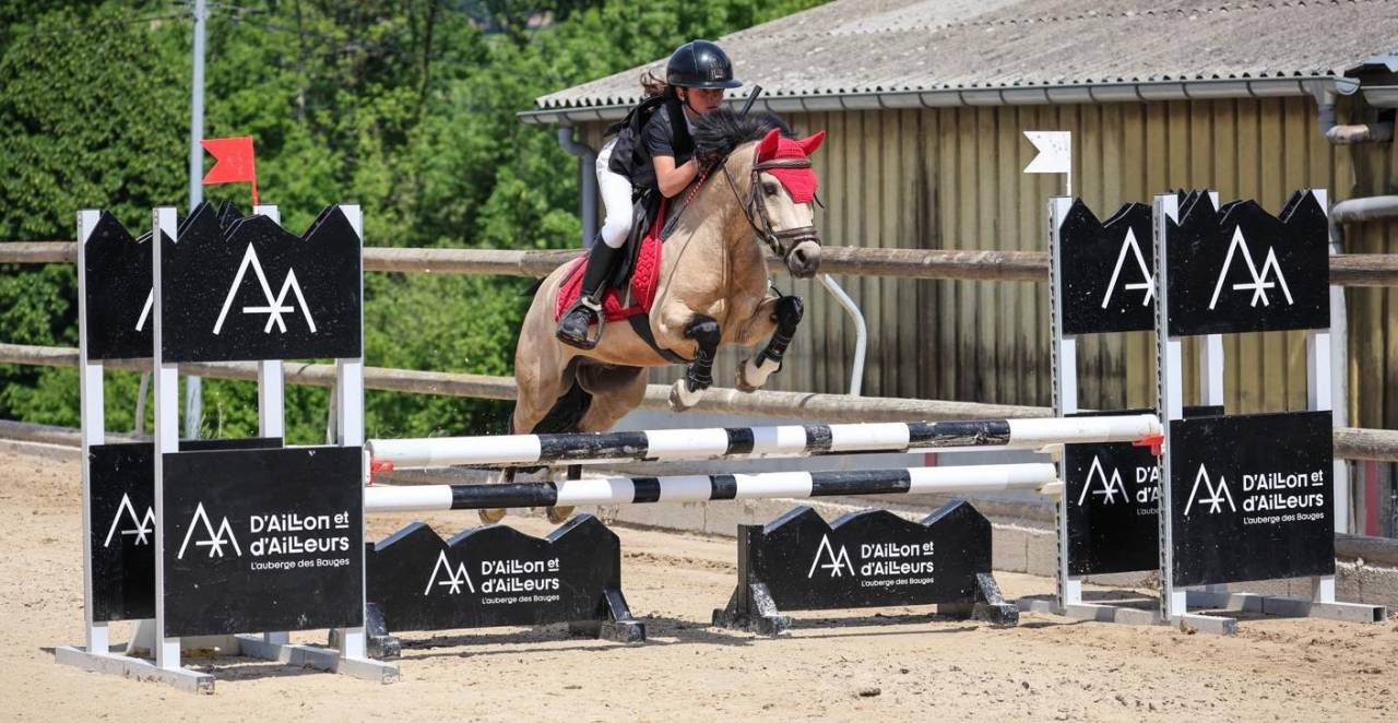 Castrone PFS Pony Francese da Sella In vendita 2017 Isabella
