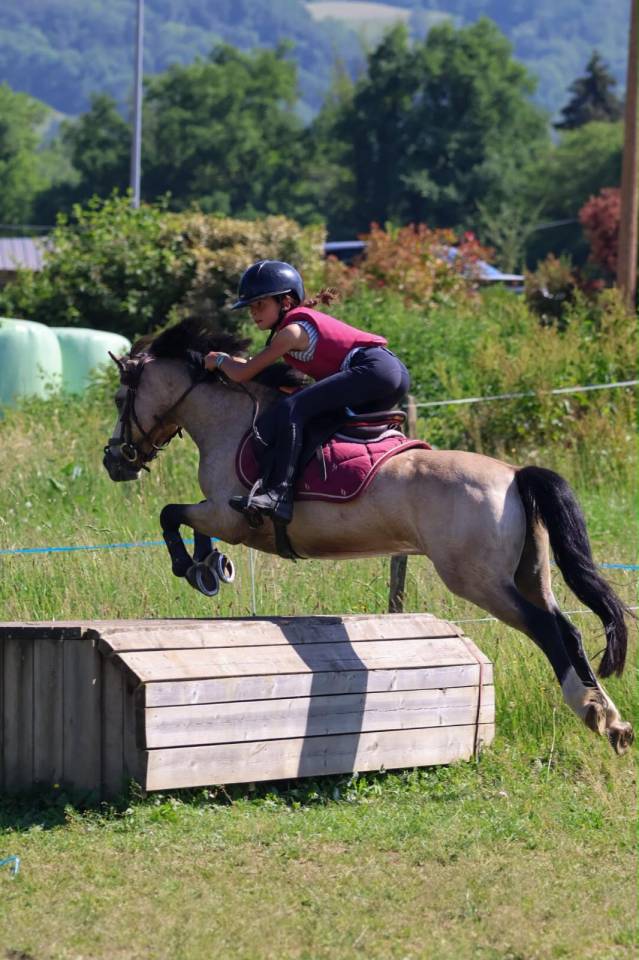 Castrone PFS Pony Francese da Sella In vendita 2017 Isabella
