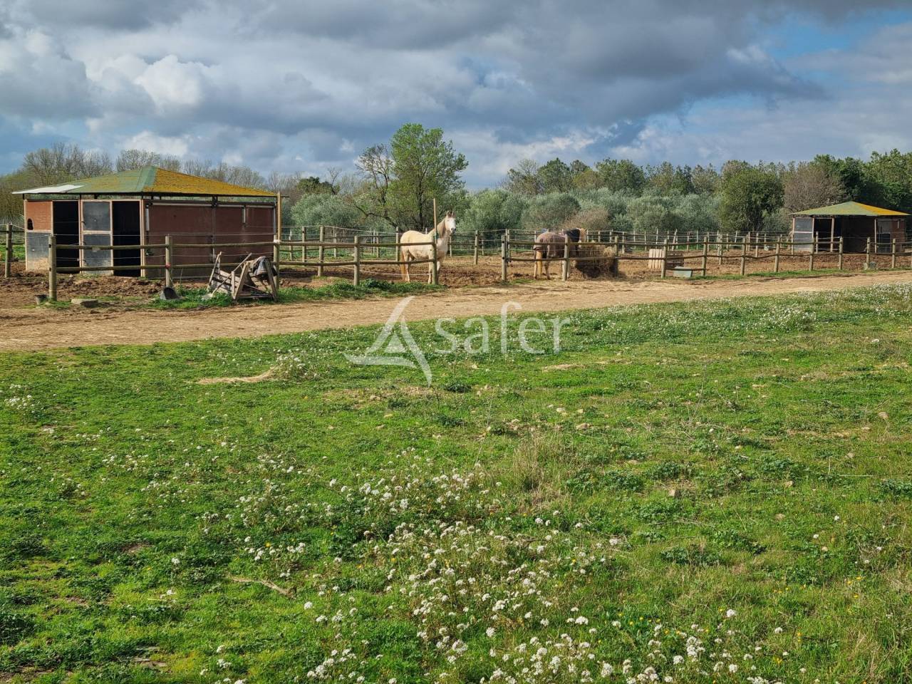 Propriet&agrave; equestre In vendita H&eacute;rault