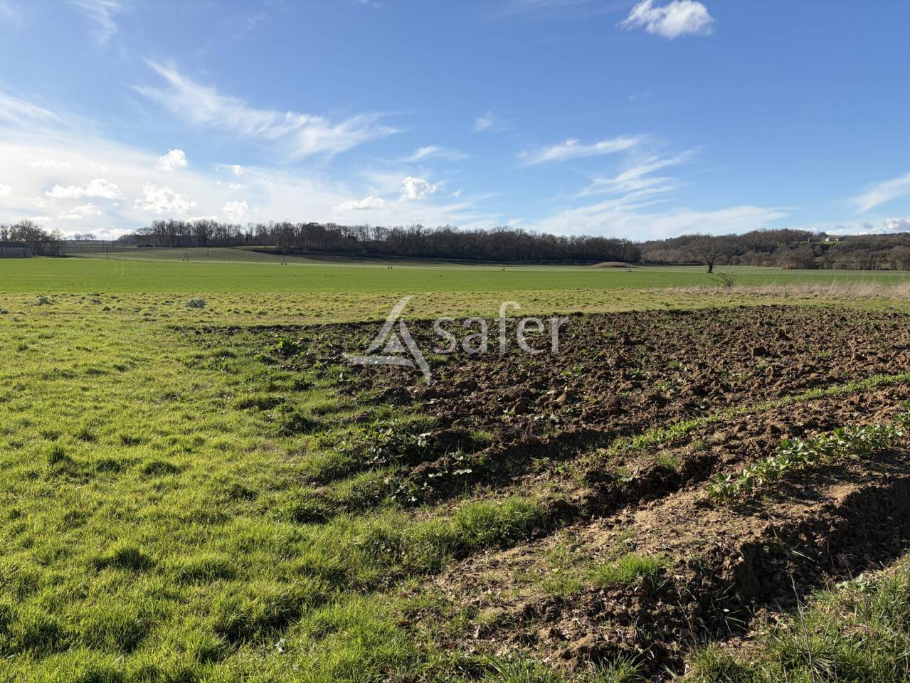 Azienda agricola In vendita Lot-et-Garonne