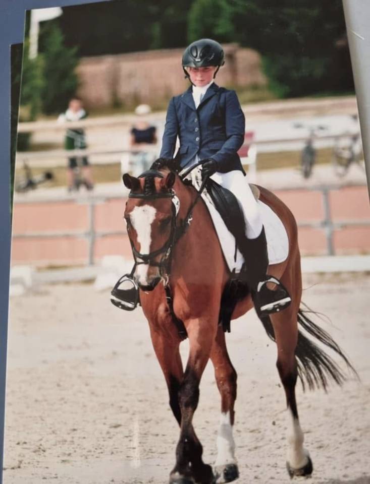 Cavalla New Forest Noleggio 2014 Baio
